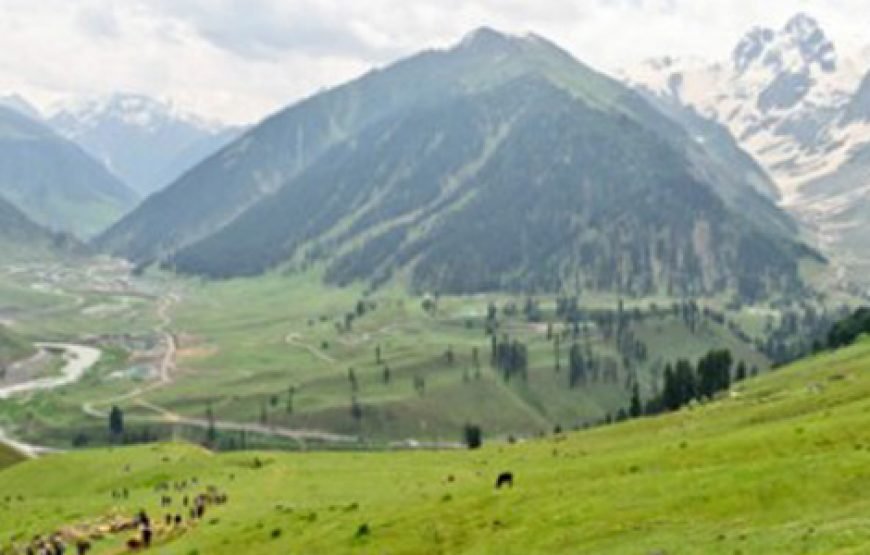 Golden Triangle with Kashmir