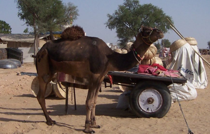 Rajsathan Desert Tour