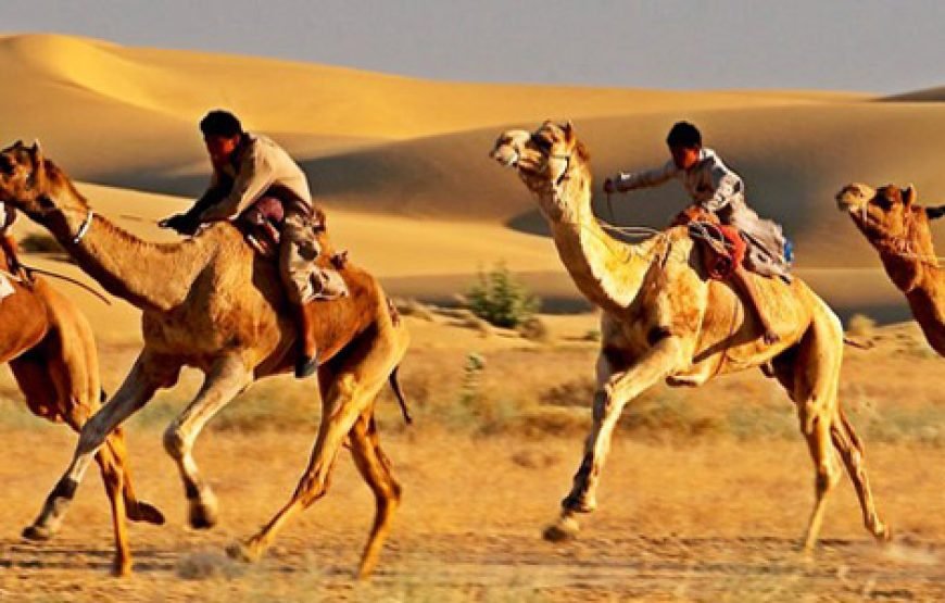 Rajasthan Fort and Palaces