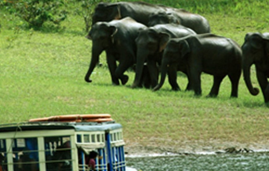 Kerala Escape Program