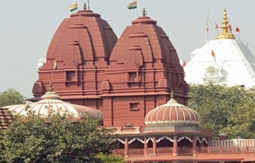 Walking Tour in Delhi