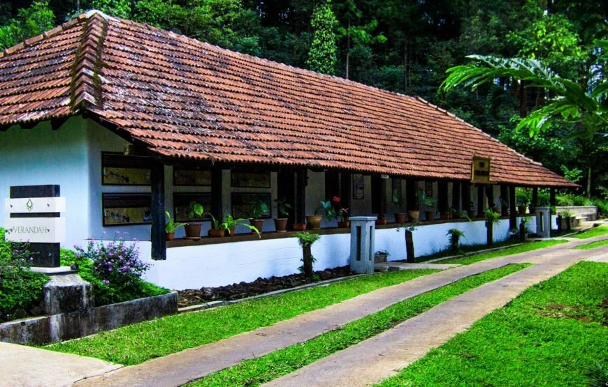 The Tamara Coorg