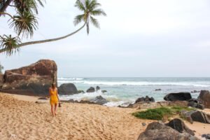 Golden Triangle with Goa Beaches