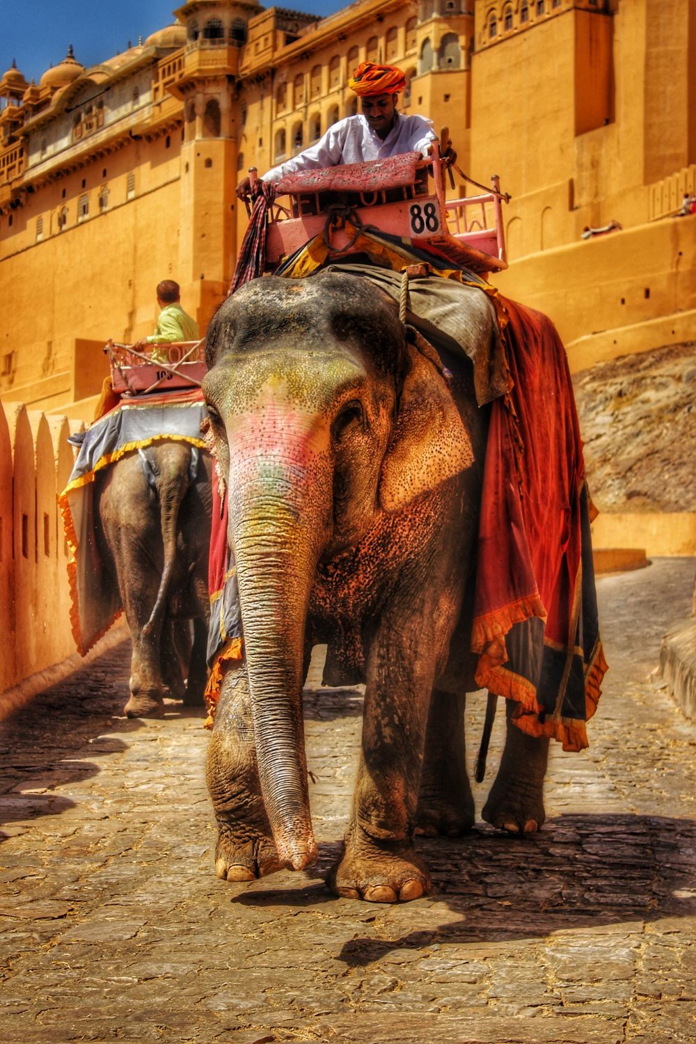 Jaipur