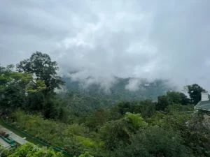 Golden Triangle With Tea Tour