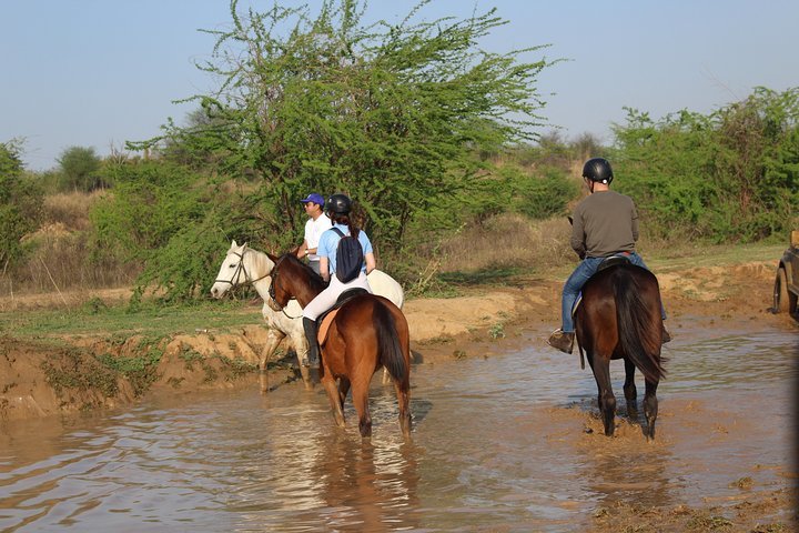 Horse Safari Tour in Aravalli Mountain