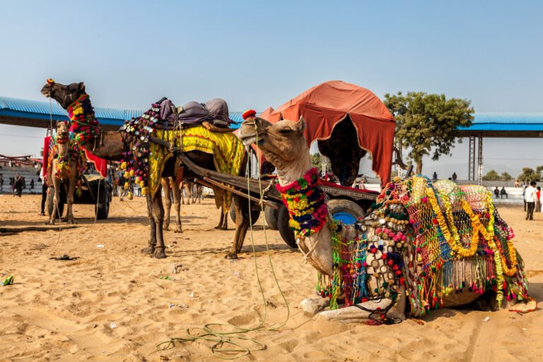 Rajasthan Cultural Tour
