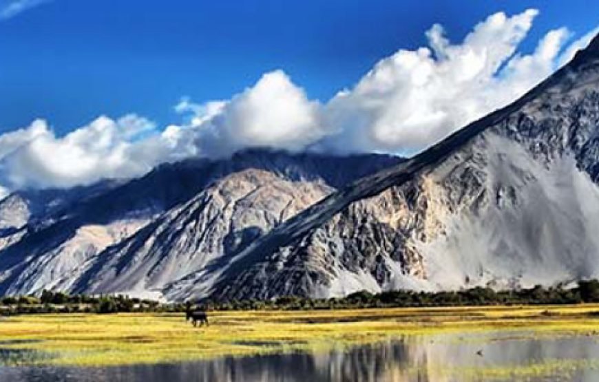 Amazing Ladakh