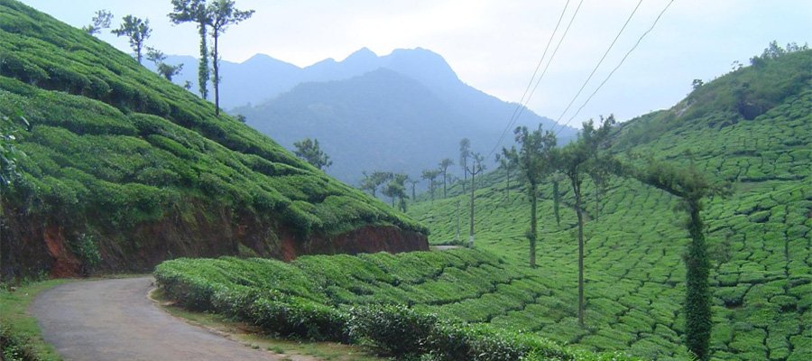 South India Secret Tour