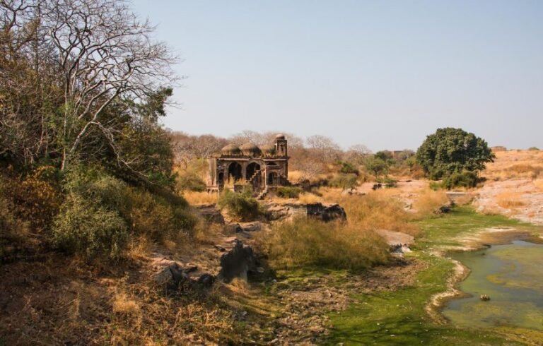 Weekend Ranthambhore Tour