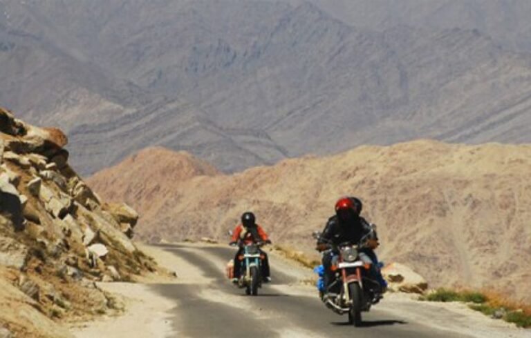 Ladakh Valley Flower